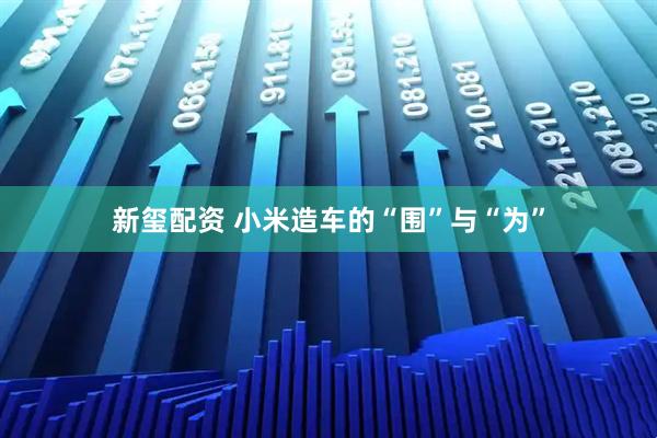 新玺配资 小米造车的“围”与“为”