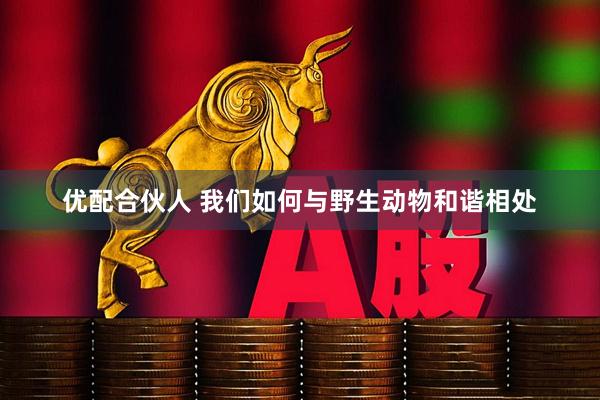 优配合伙人 我们如何与野生动物和谐相处