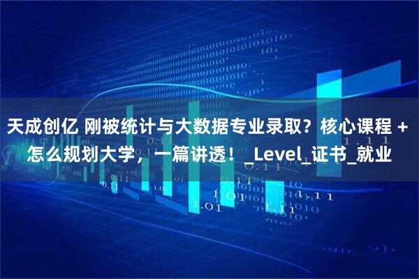 天成创亿 刚被统计与大数据专业录取？核心课程 + 怎么规划大学，一篇讲透！_Level_证书_就业