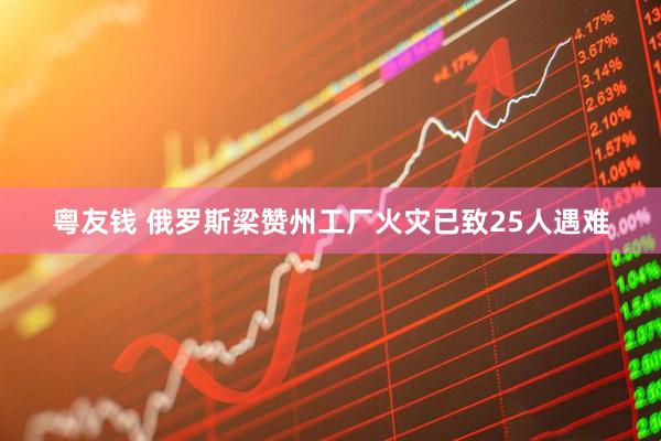 粤友钱 俄罗斯梁赞州工厂火灾已致25人遇难