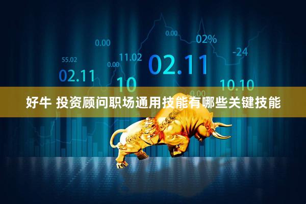 好牛 投资顾问职场通用技能有哪些关键技能